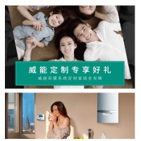威能壁挂炉L1PB38-VUW CN 352/2-3 H TURBO