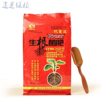 绿植扦插生根剂根生根菌肥生物菌肥酵剂生根粉生根剂生根液通用