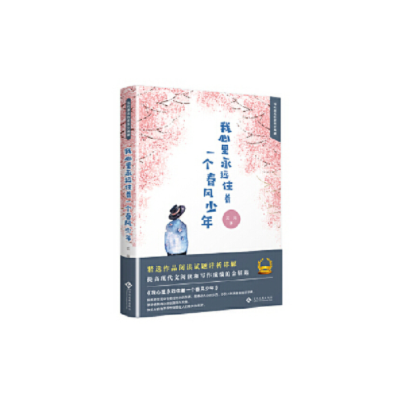 正版新书]我心里永远住着一个春风少年云海9787514226171高清大图