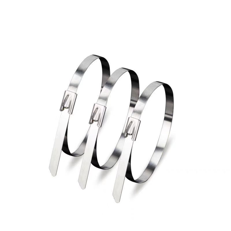 盛京联硕 不锈钢扎带 高强度户外收紧器10×600mm[100条]包高清大图