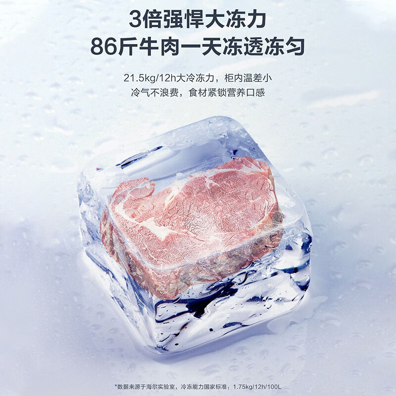 海尔(Haier)519L冰柜家用1级能效减霜80%-38度超低温冷柜深冷速冻商用雪柜 BC/BD-519GHPT