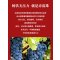 达颜自然之声好事成双原瓶原装进口赤霞珠干红精美礼盒双支葡萄酒750ml*2