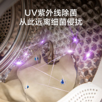 [洗烘套餐/套装]小天鹅滚筒洗衣机+热泵烘干机TG100VT616WIADY+TH100NH06WY浣彩智能家电 热泵