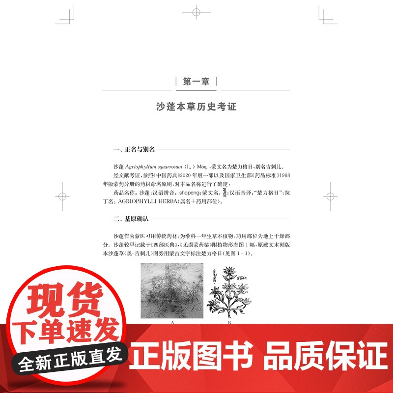蒙药沙蓬现代研究 包书茵,奥·乌力吉著上海科学技术出版社蒙药沙蓬系统性研究单味民族药研究高清大图