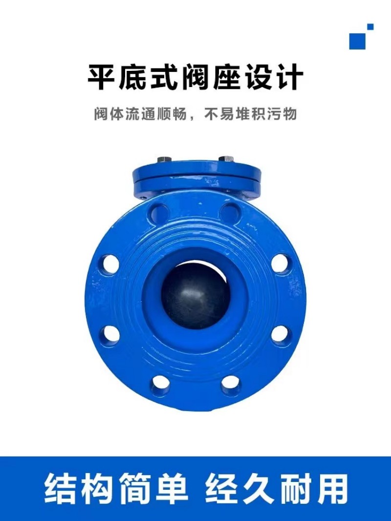 奇点森源 逆止阀 DN50 个高清大图