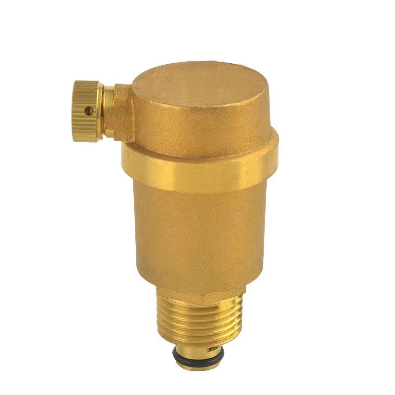 智铮朗月 自动排气阀 DN25 个高清大图