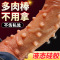 多肉棒-中号 硅胶仿真阳具女用肉刺自慰器成人情趣用品假阴茎久爱成人情趣用品