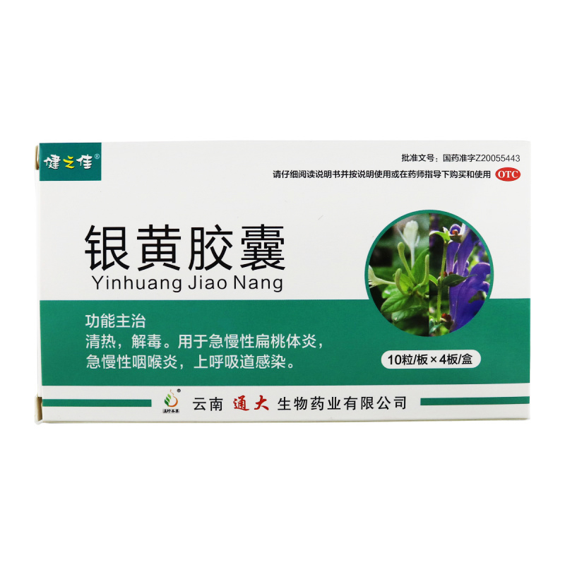 40粒]健之佳银黄胶囊0.3克*10粒*4板 清热解毒 扁桃体炎 云南通大高清大图
