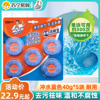 威猛先生清香洁厕块40g*5块