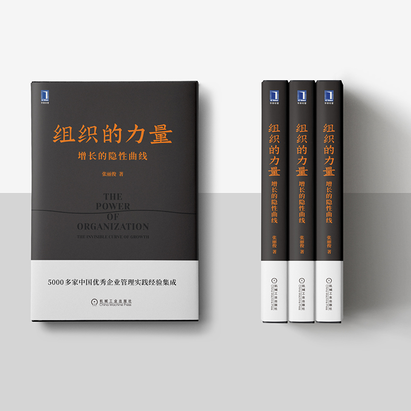 [正版] 组织的力量 增长的隐性曲线 张丽俊 职场精英 素养能力 咨询顾问 企业管理 变革转型 方法工具 案例高清大图