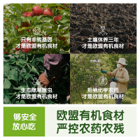 Little Freddie 小皮 豌豆菠菜苹果泥 100g