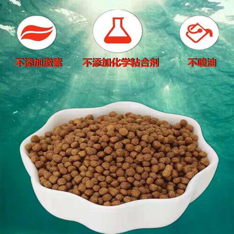 金鱼饲料兰寿泰狮鱼粮观赏鱼通用饲料锦鲤鱼粮小型鱼饲料增肥增色 颗粒上浮 1.0mm 45g 试用装