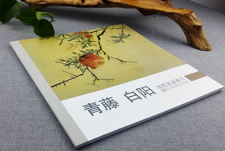 [醉染正版]历代名家册页青藤白阳 徐渭陈淳精品花卉书画集/中国名画家国画花鸟山水画作品全集/正版传世名画美术鉴赏临摹画册高清大图