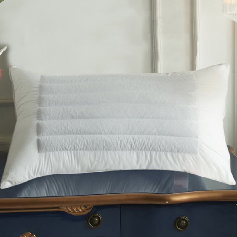 芳恩家纺FAUNEN 全棉荞麦羽丝枕48×74cm FN-R7012高清大图