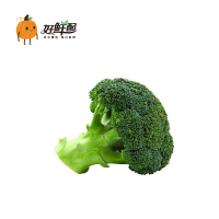 立丰高钙肉松90g