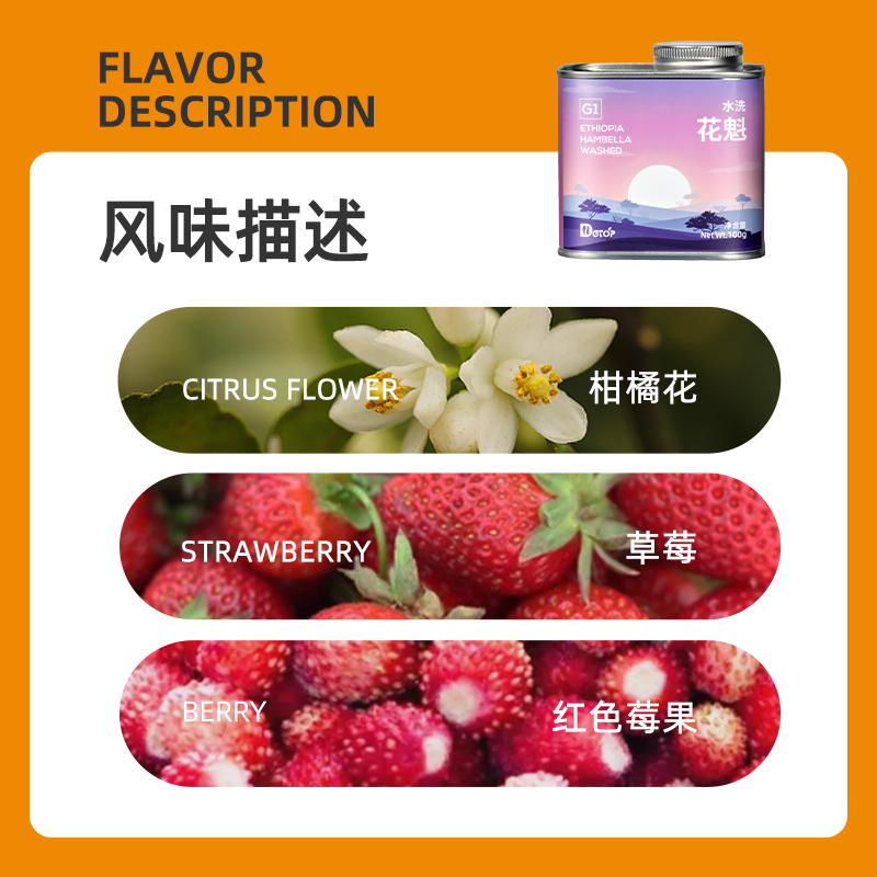 DGTOP花魁咖啡豆手冲水洗G1精品阿拉比卡咖啡豆100g/罐装单一产地G1浅烘新鲜烘焙