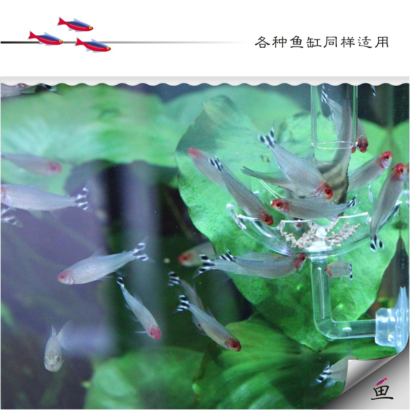 玻璃投食管水晶虾喂食管空中虾食盆喂食器鱼缸龟缸投食器高清大图