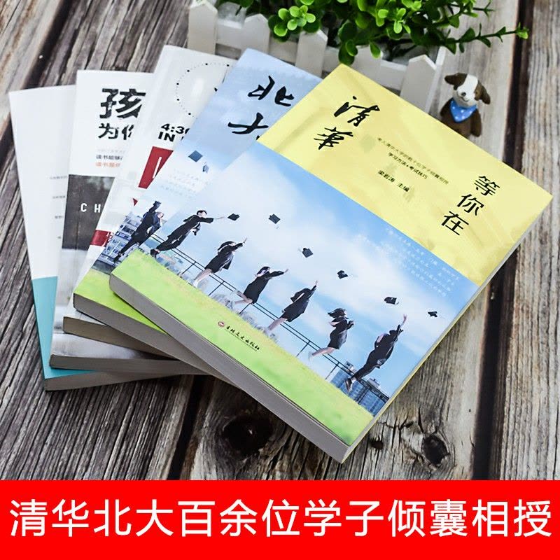 全5册 2020新版正版等你在清华北大全套孩子为你自己读书中高考学习窍门清华北大不是梦学习方法初高中学生教育考试技巧书籍图片