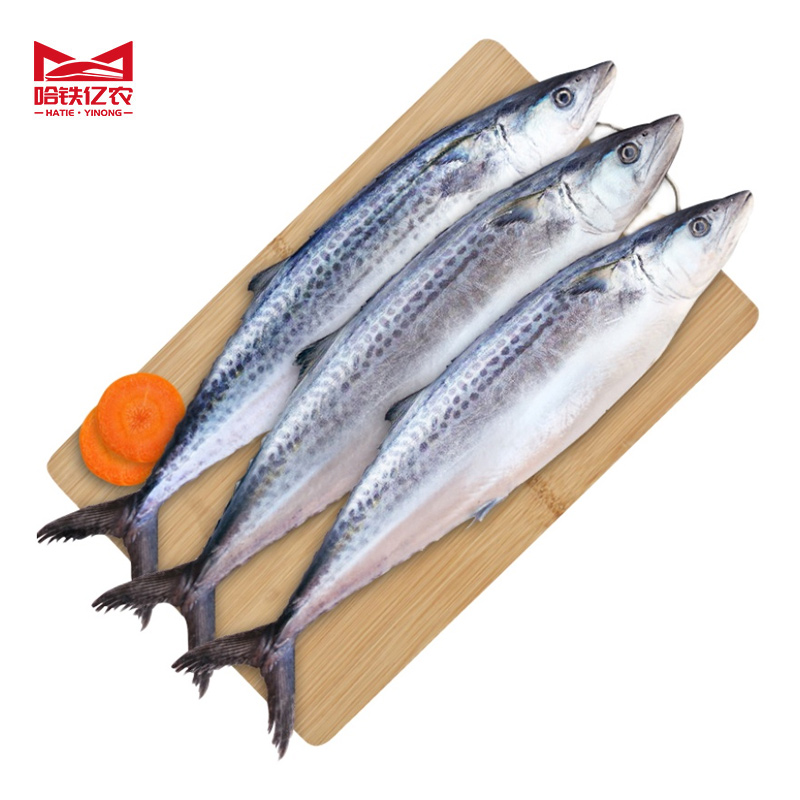 哈铁亿农 鲅鱼 500g/斤高清大图