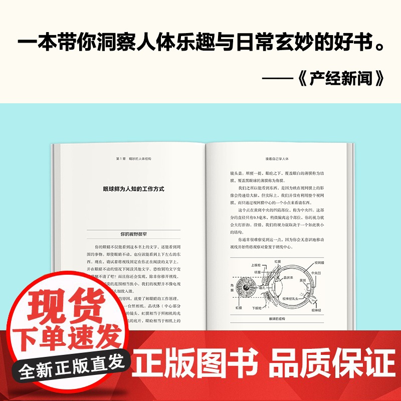 摸着自己学人体 摸懂人体运作的神奇 山本健人著 柴晶美译 医学科普 写给普通人的医学入门书 课外读物 人体生理读客科普文高清大图