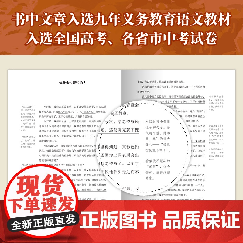 正版 中考语文热点作家作品解析 中考语文 6-9年级通用 初中生学生语文作文阅读题 初中语文 美文集高清大图