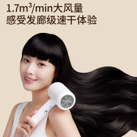 直白电吹风家用网红升级版大功率 理发店负离子不伤发静音冷热风便携式快速定型护发吹风机宿舍用电吹风筒男女 小米生态链