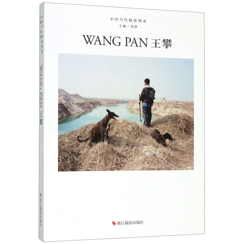 [M]王攀(精)/中国当代摄影图录-9787551427944高清大图
