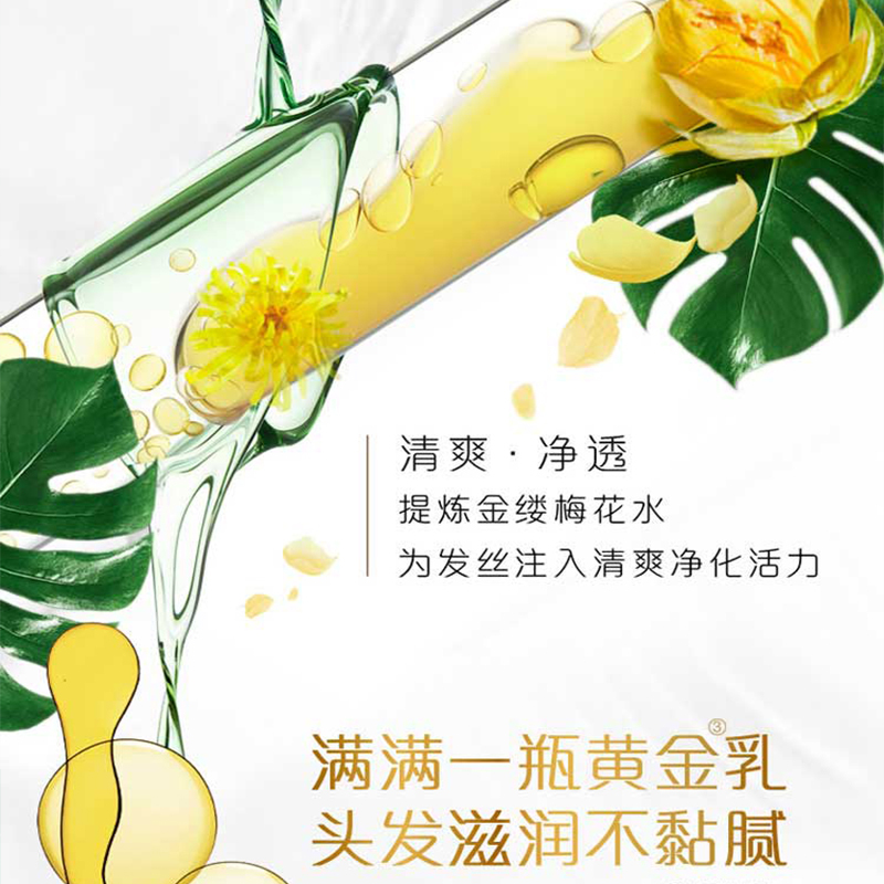 飘柔洗护套装洗发水750ml+护发素400ml赠洗发露80ml*2+精华素80ml*2 精油润养柔顺染发修护 花香调