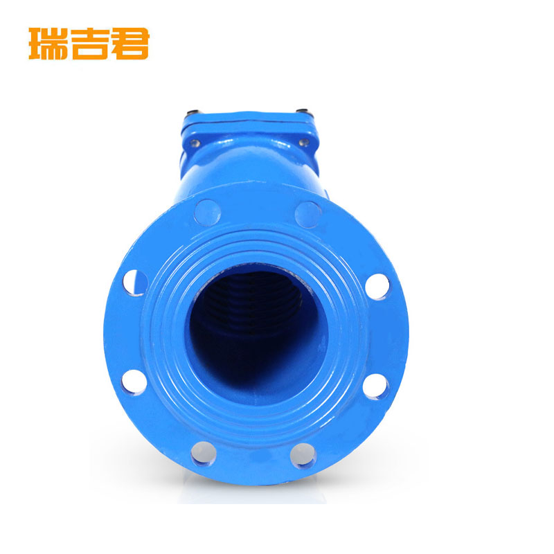 瑞吉君 铸铁法兰Y型过滤阀 DN200 个高清大图