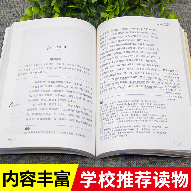 朝花夕拾[鲁迅 原著] [正版]朝花夕拾七年级必读书鲁迅原著文集青少年初中一年级课外书彩图美绘插画无障碍精读版天地出版社高清大图