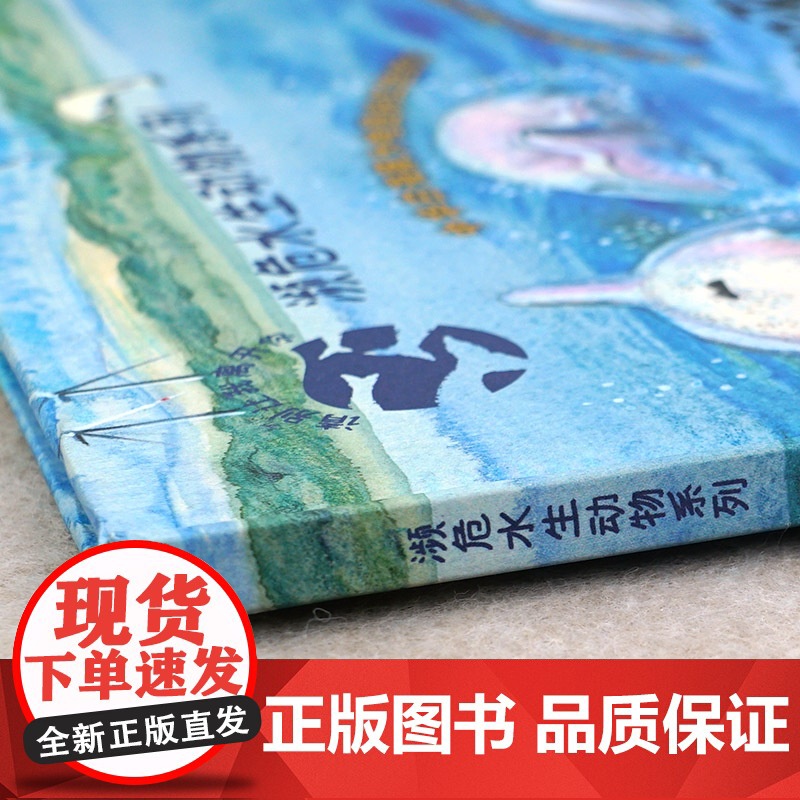 濒危水生动物系列——中华白海豚高清大图