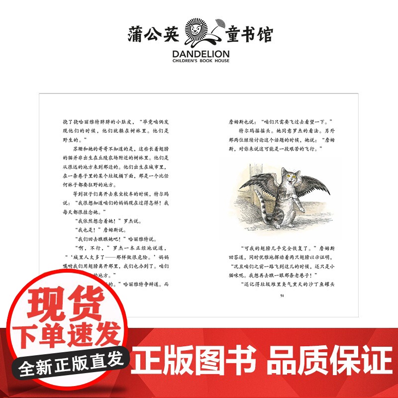 长翅膀的猫厄平装休拉·勒古恩写给孩子的成长冒险故事告诉孩子悦纳自己的与众不同勇敢去探索未知的世界小学生蒲公英出品正版童书高清大图