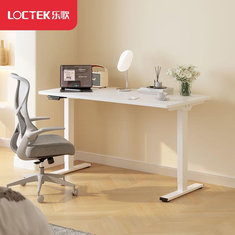 乐歌EM3智能电动升降桌电脑桌居家办公桌升降学习桌书房书桌图片