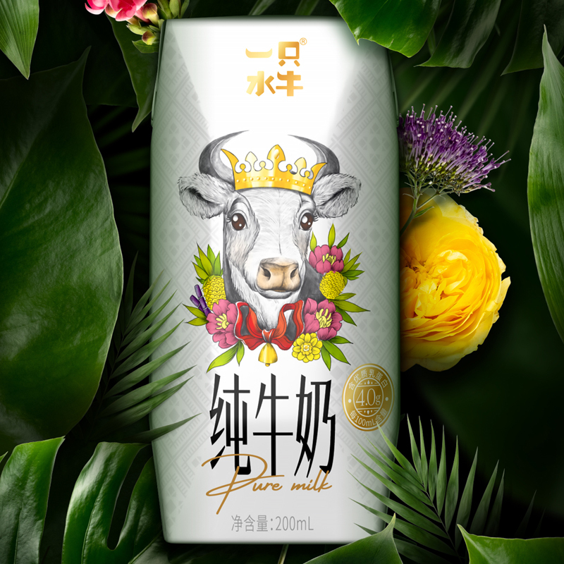 一只水牛4.0g蛋白质水牛奶整箱儿童奶广西特色奶早餐奶200mlx10盒