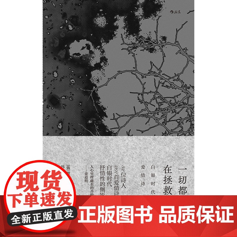 一切都像在拯救叶赛宁 江苏凤凰文艺出版社 后浪正版书籍高清大图