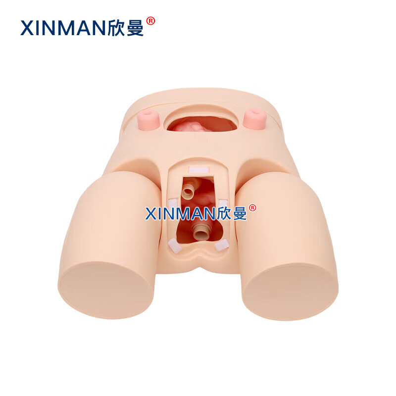 欣曼科教 高级女性导尿操作训练模型 导尿练习模拟人XM-H11高清大图