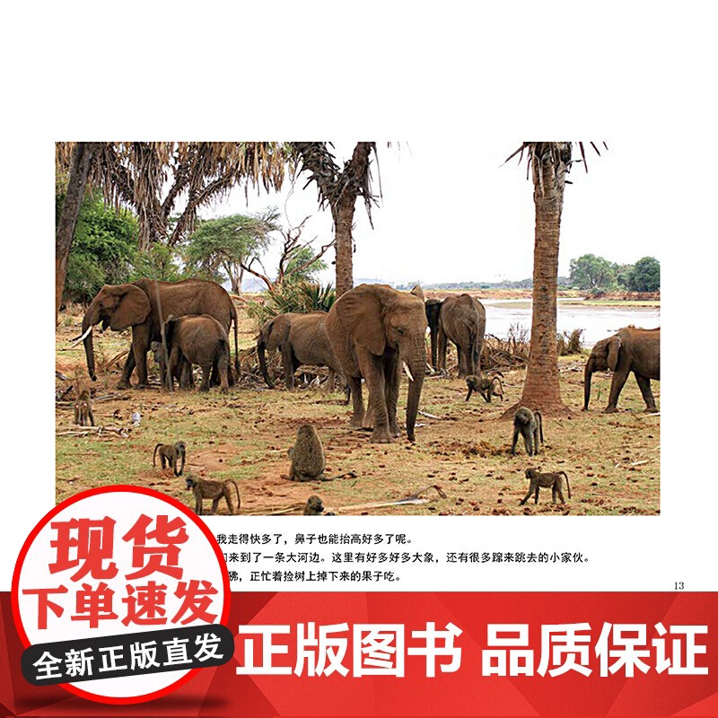 桑布鲁,我回来了高清大图