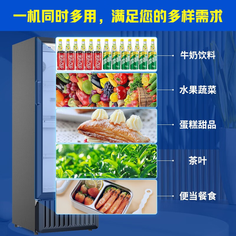 海尔(Haier)立式冰柜290升冷藏保鲜柜商用饮料柜家用大容量单门玻璃门水果酸奶饮料展示柜 SC-339J高清大图