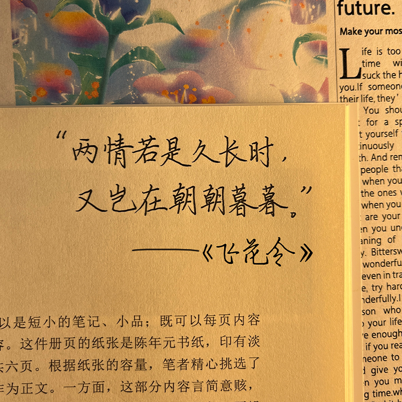 [单本描红]李清照(严海南-楷书) [正版]字帖成人练字女生荆霄鹏楷书行楷字帖练字帖女生字体漂亮大气簪花小楷硬笔书法钢笔高清大图