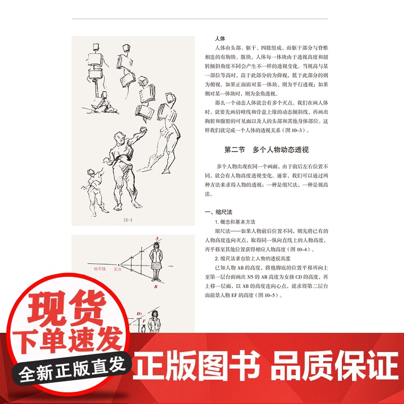 透视画法入门/透视如此简单20步掌握透视基本原理版/透视基础增补版/绘画透视学新版 上海人民美术出版社绘画技法高清大图