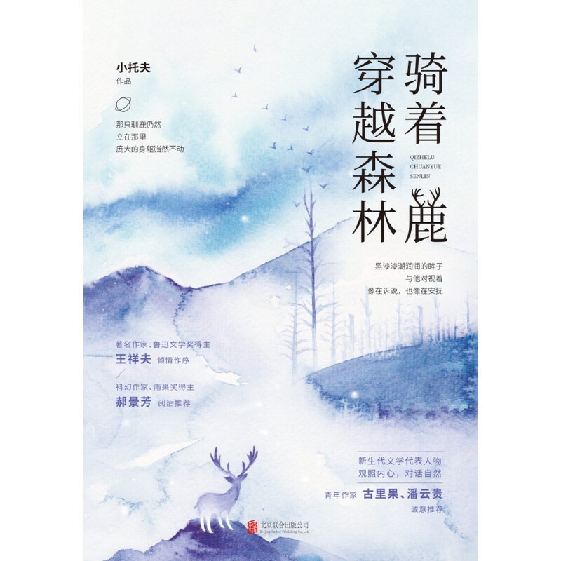 [正版]骑着鹿穿越森林 阴差阳错的爱情行将消失的文明鲁奖得主王祥夫做序青春文学都市爱情小说散文随笔类书籍高清大图