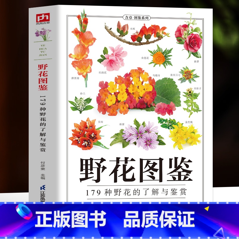 野花图鉴 【正版】野花图鉴 179种野花的了解与鉴赏 野外常见花卉园林植物识别图鉴 植物图鉴百科全书 花卉养殖生长习性科