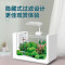 新款鱼缸客厅桌面小型玻璃生态金鱼缸造景家用自循环侧滤水族箱