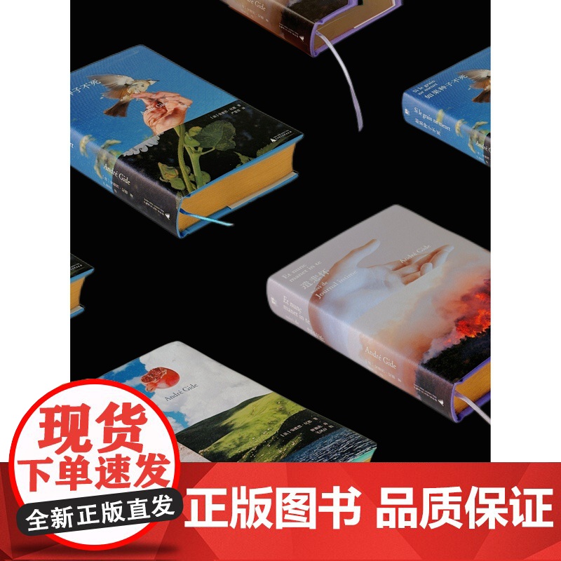 纪德人生三部曲 (法)安德烈·纪德/著 文学;法国 散文 诗歌 游记 自传 日记 人性 纪德 爱情 经典 广西师范大学出高清大图