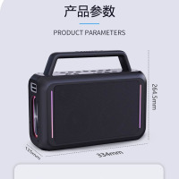 Philips/飞利浦 SD228户外蓝牙音箱广场舞音响大功率手提K歌直播户外音箱