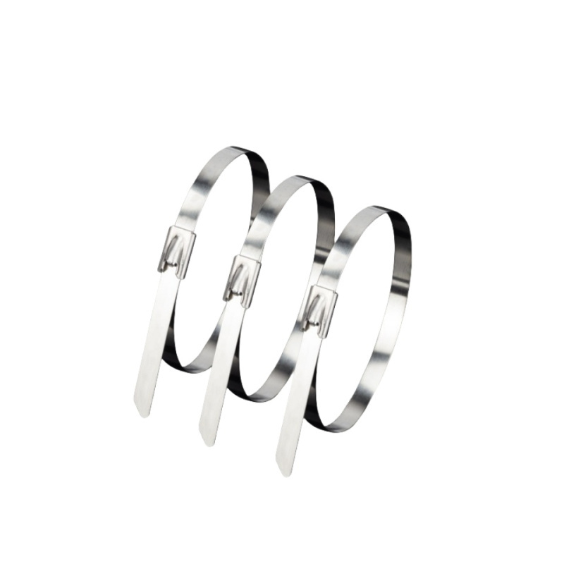 捷犀 不锈钢扎带 12*900mm100条/包高清大图