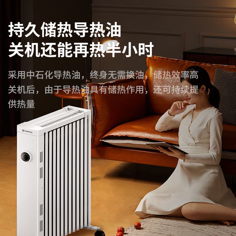 艾美特油汀取暖器家用电暖器客厅节能省电暖气片大面积速热油丁企业价团购精美设计 白色图片