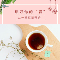 茶里(ChaLi)经典红茶英德红茶办公冲饮袋泡茶奶茶红茶包100包