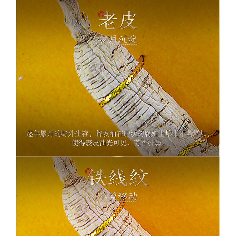 长白山人参 林下参 15g/盒高清大图