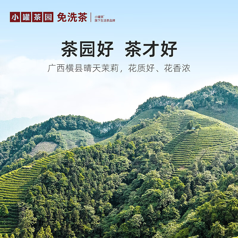 小罐茶园金标系列茉莉花茶广西横县茉莉花特级100g罐装茶叶 小罐茶出品.高清大图